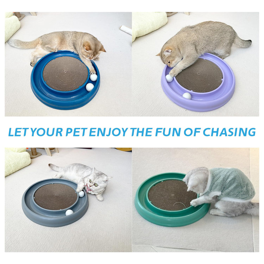 LYCTDD cat ball toy in action during a pet play session.