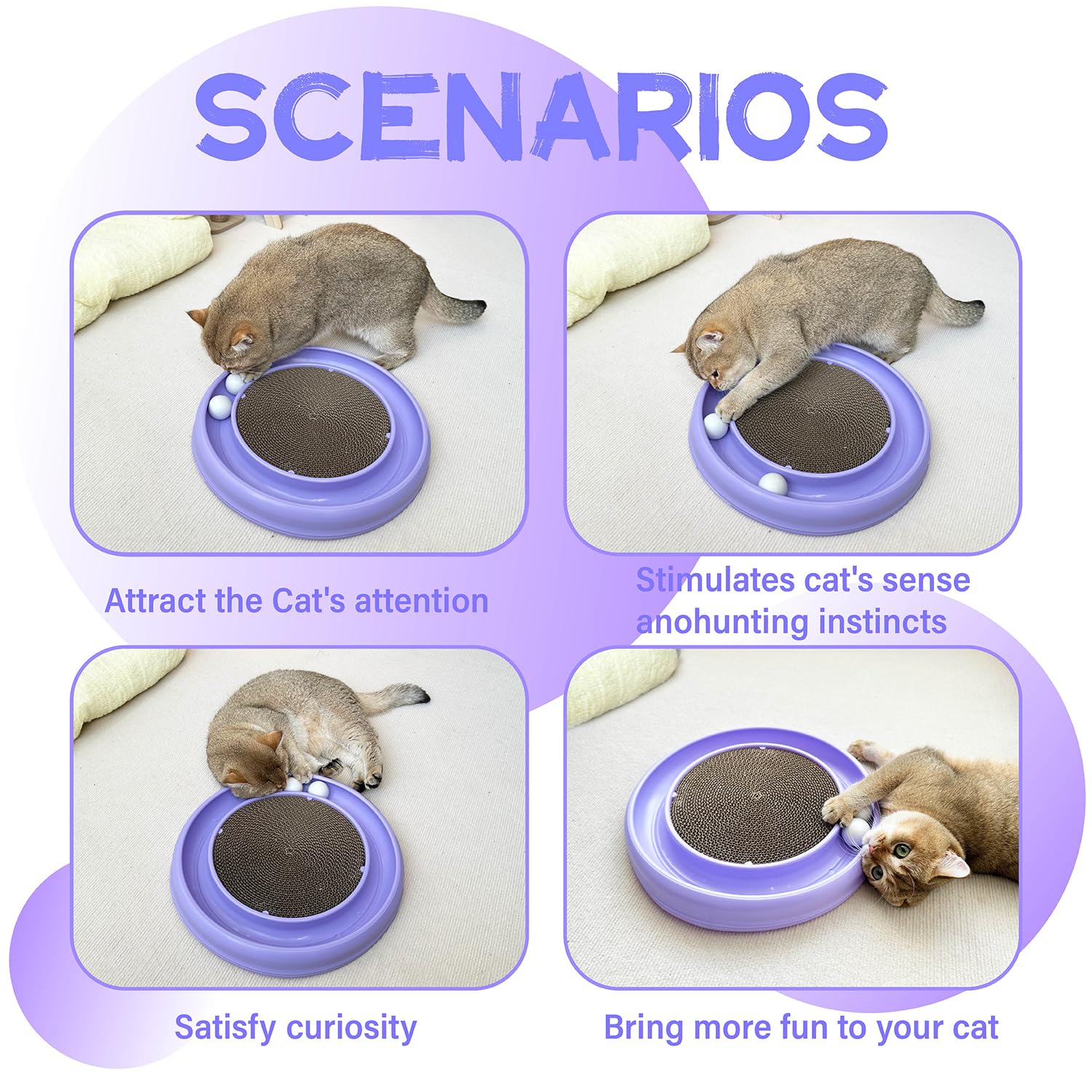 LYCTDD colorful design options brighten homes while stimulating a cat's senses.