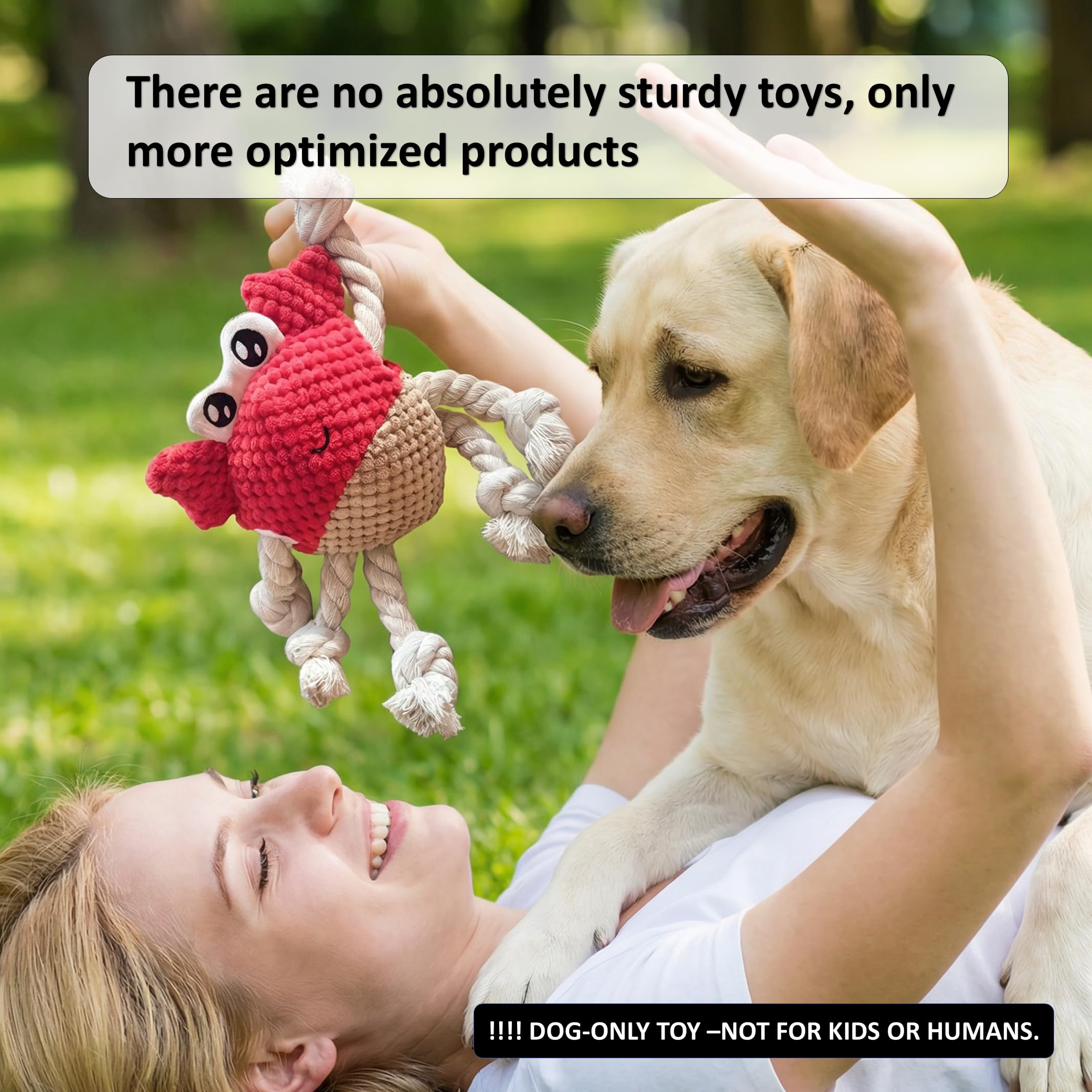 LydaPKS Small-breed toy supports mental stimulation and gentle teeth cleaning during play.