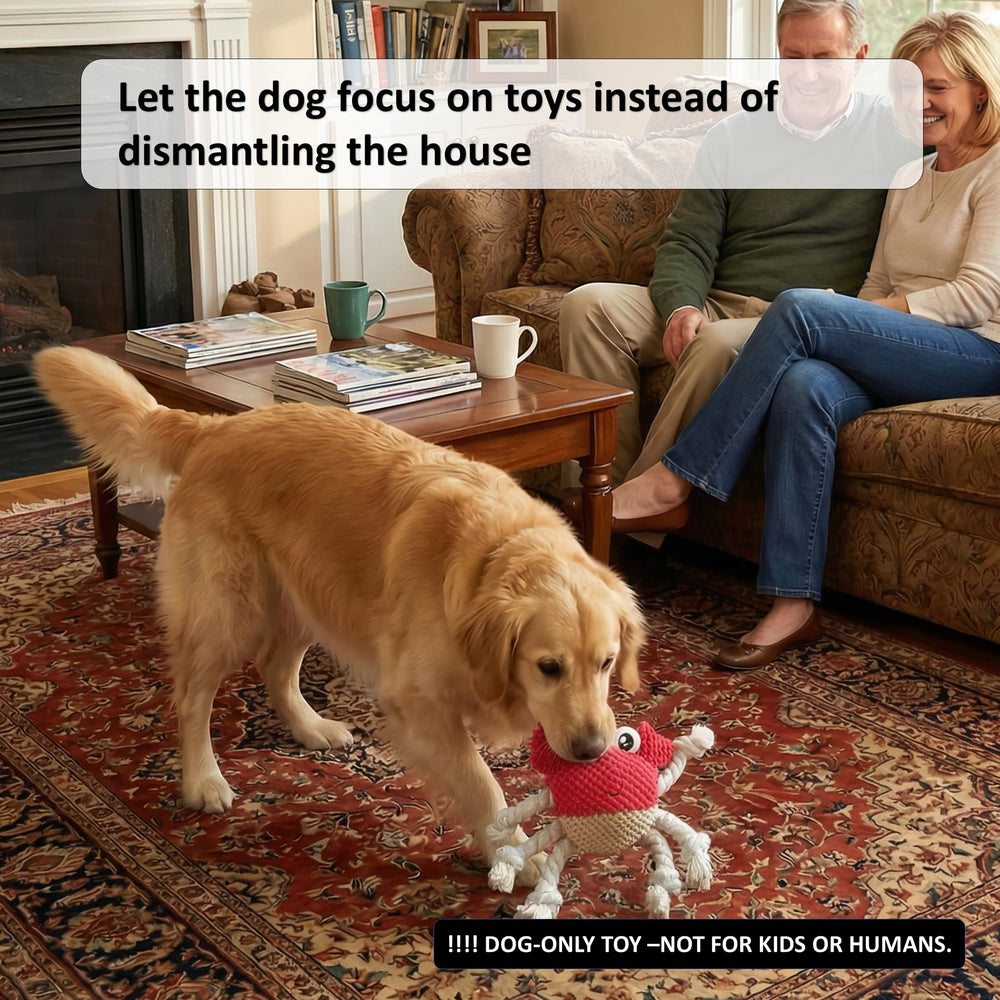 LydaPKS Red squeaky crab encourages interactive play with minimal owner effort.