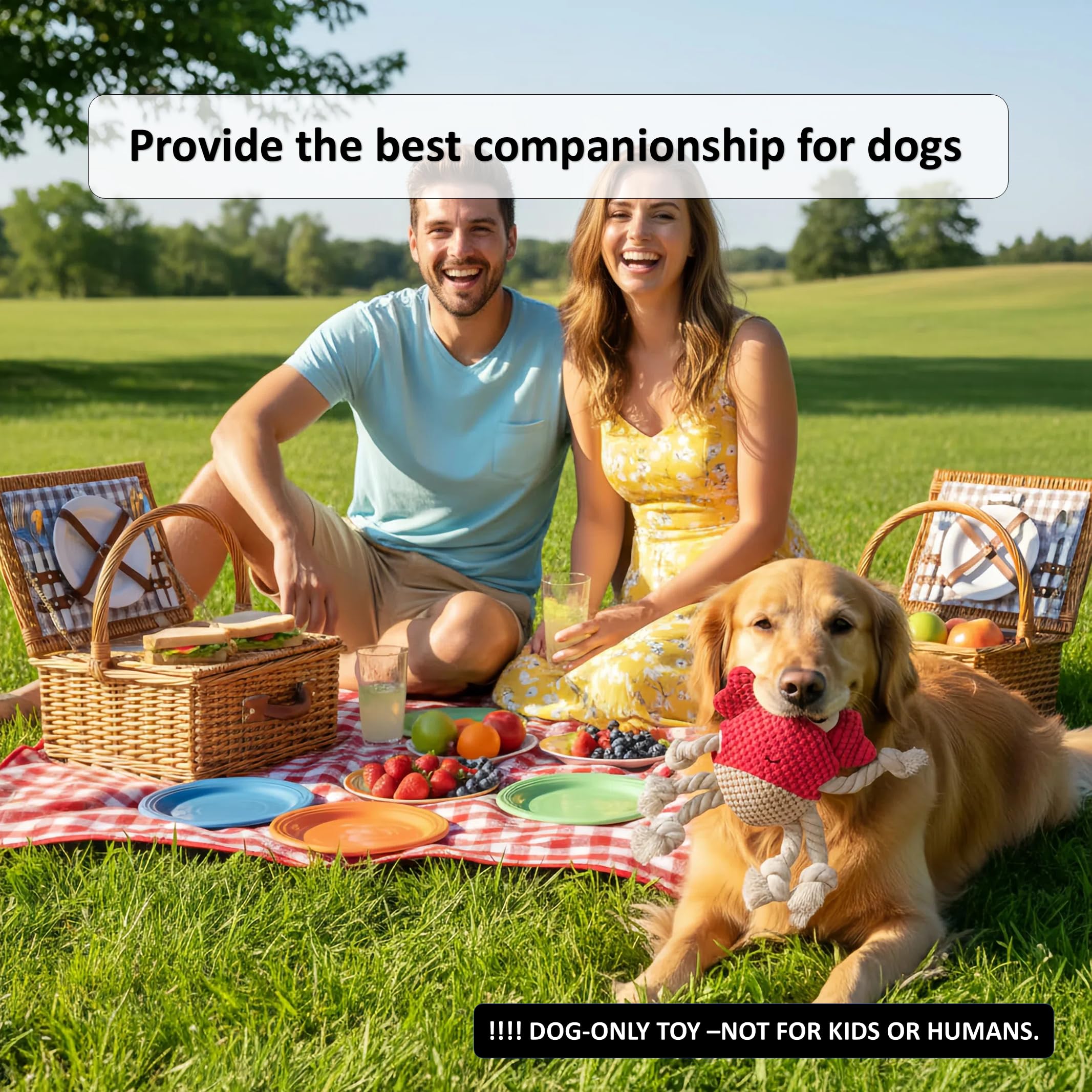 LydaPKS Not-for-kids reminder clarifies this dog toy is for pets only.