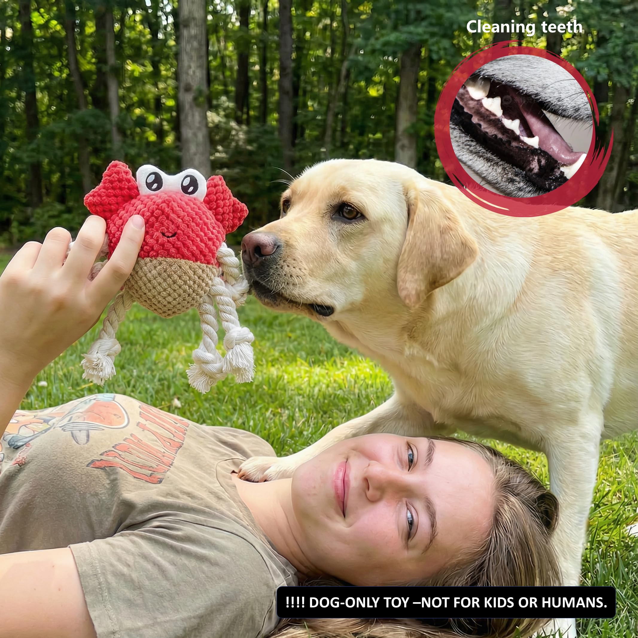 LydaPKS Gift-ready toy appeals to dog lovers seeking a thoughtful surprise.