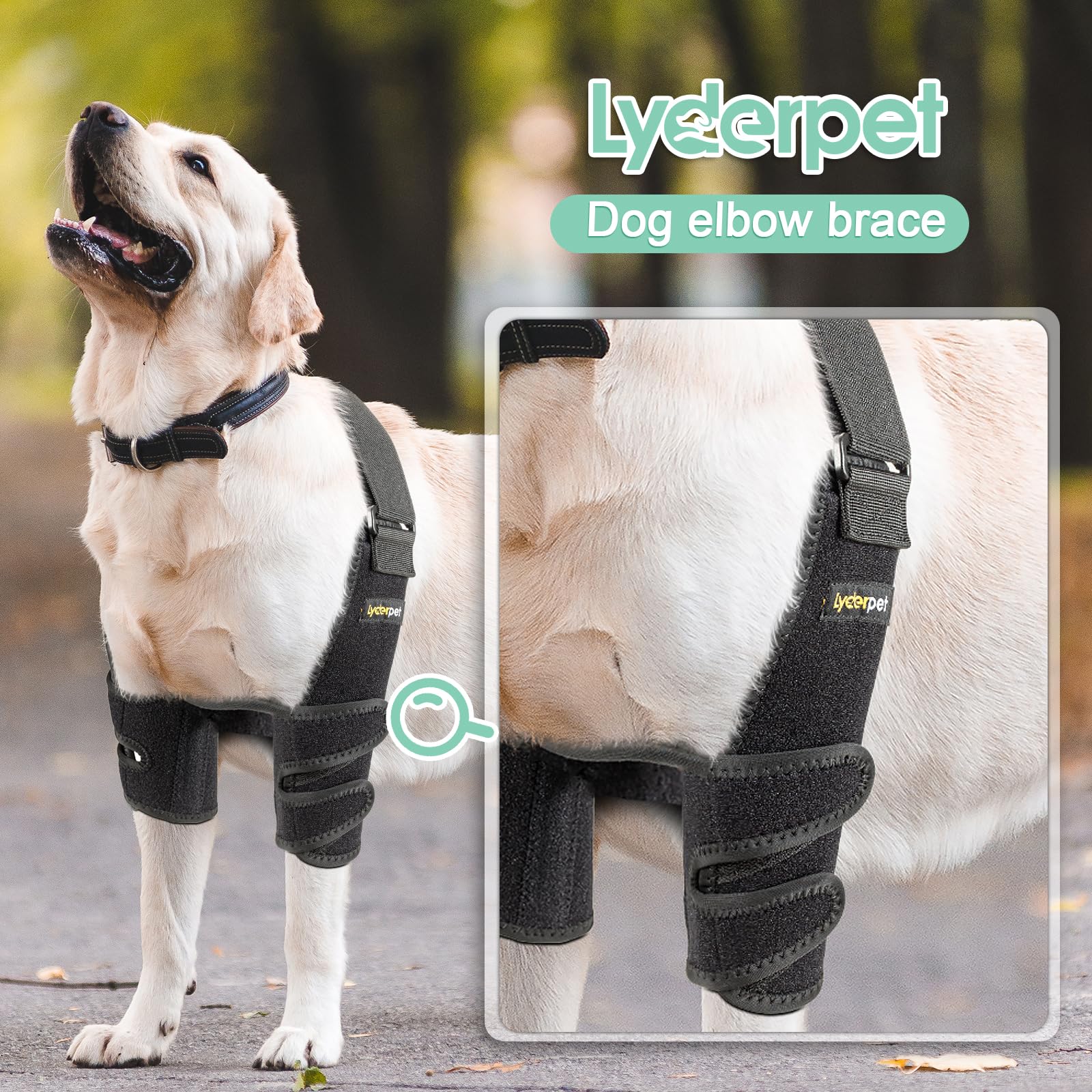 Lyderpet built-in metal splints provide reinforced stability for joints