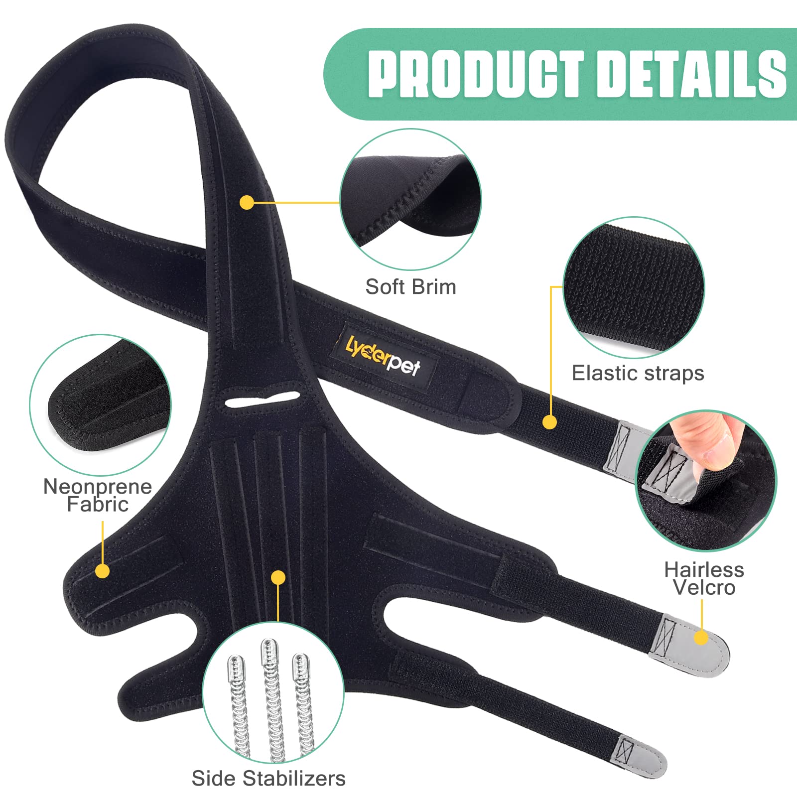 Lyderpet knee brace rear-leg support visible during resting pose.