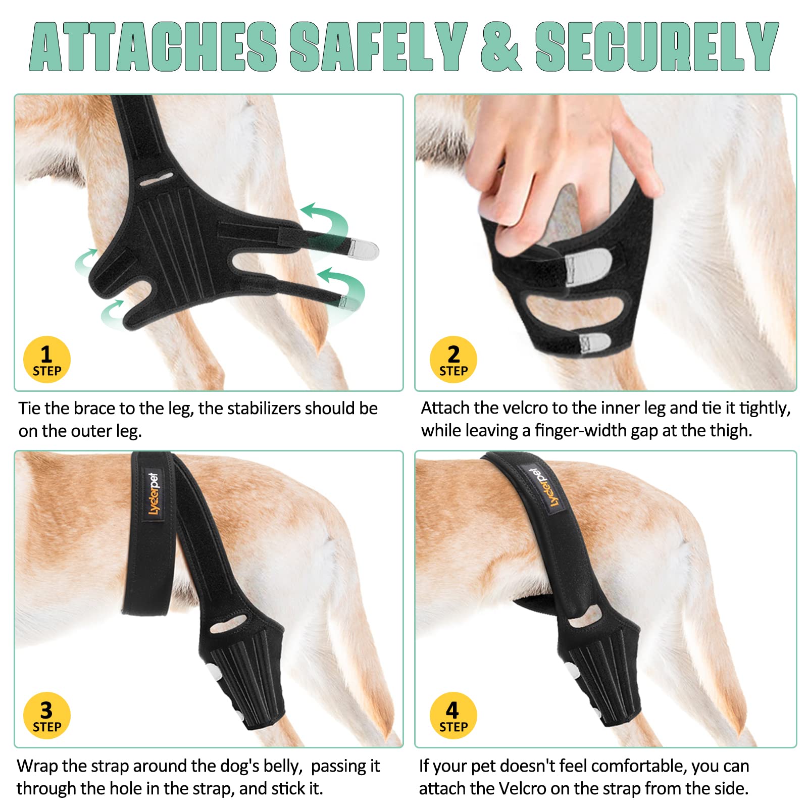 Lyderpet knee brace size chart shows how to measure for fit.