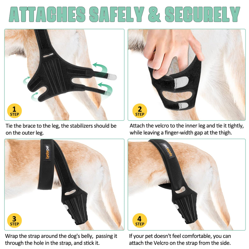 Lyderpet knee brace size chart shows how to measure for fit.