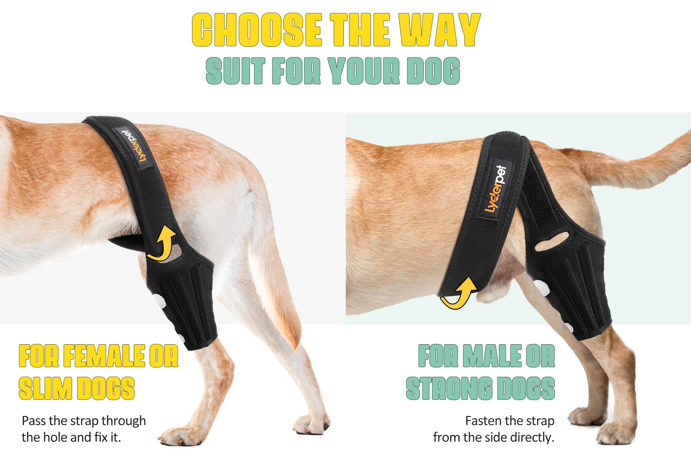Lyderpet knee brace made of soft neoprene offers breathable leg comfort.