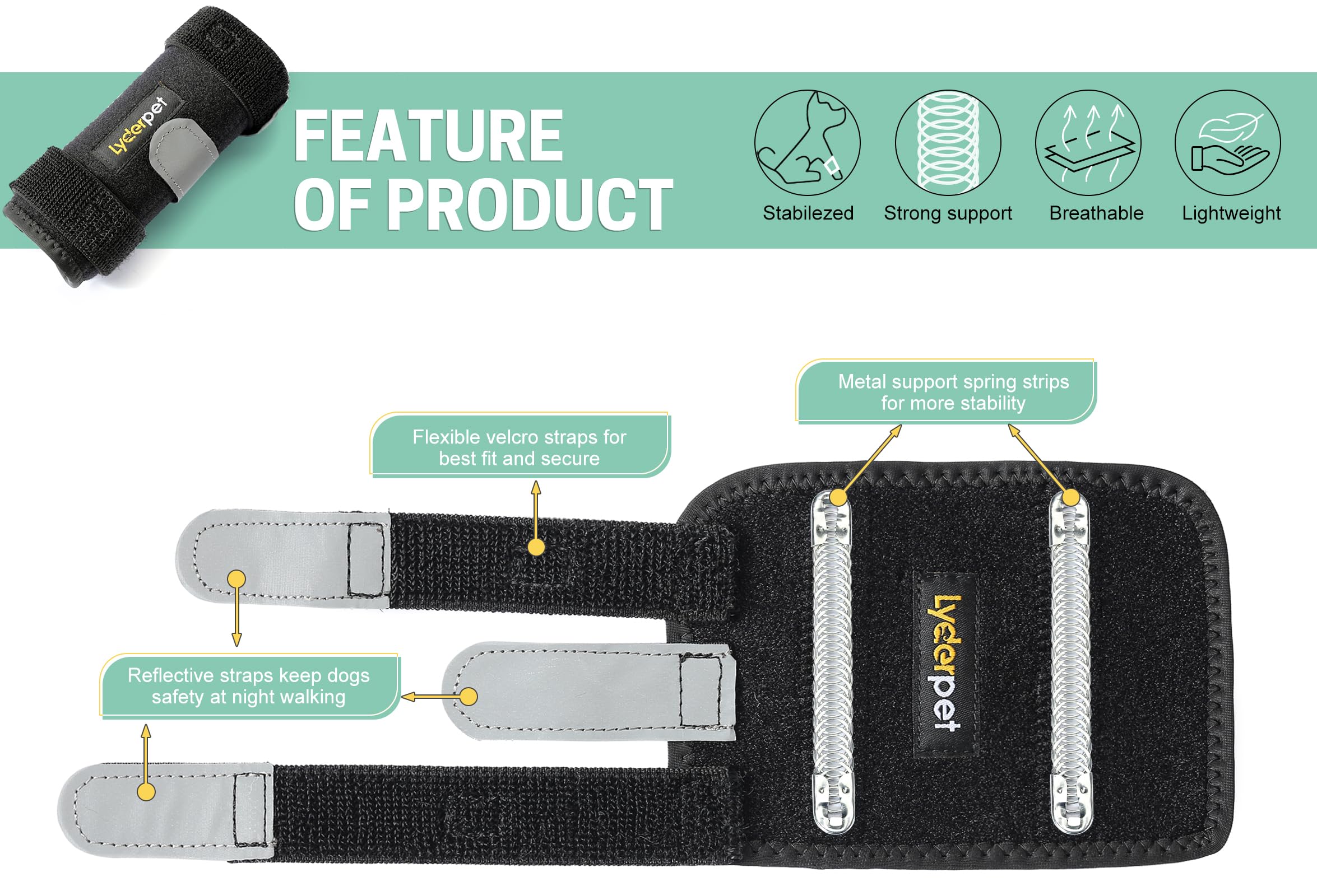 Lyderpet dog wearing brace demonstrates secure fit with adjustable straps for comfort.