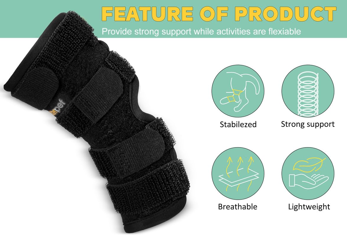 Lyderpet dog wearing rear leg brace demonstrating mobility aid