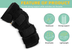 Lyderpet dog wearing rear leg brace demonstrating mobility aid