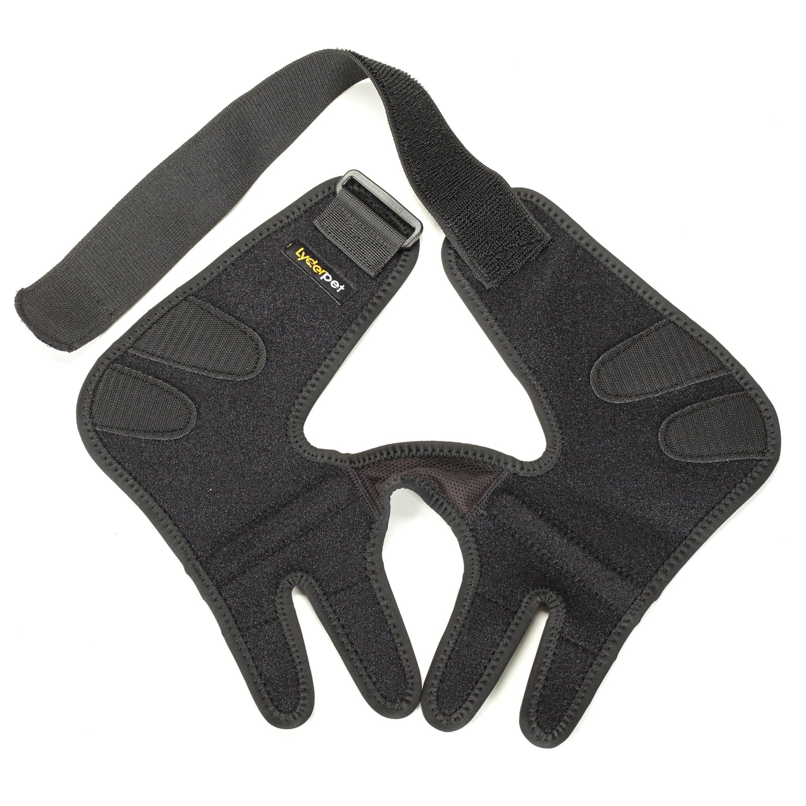 Lyderpet dual-front-legs-support shields both legs for balanced protection