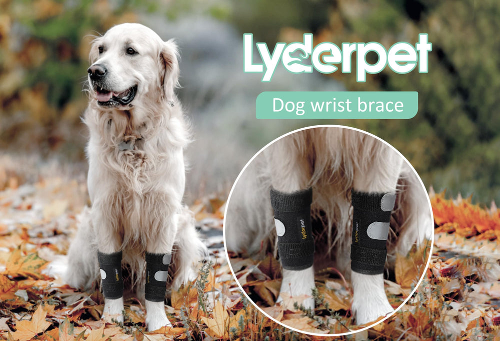 Lyderpet durable neoprene material image emphasizes soft, breathable construction for long wear.