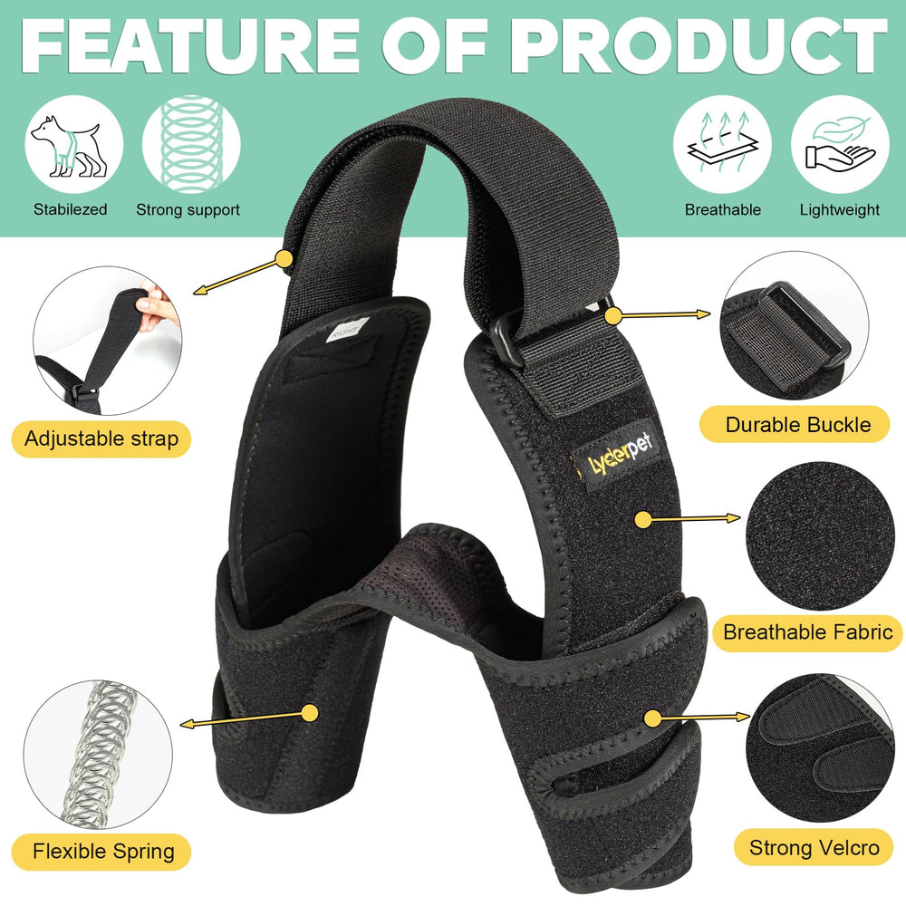 Lyderpet elbow brace right leg on dog improves mobility and comfort