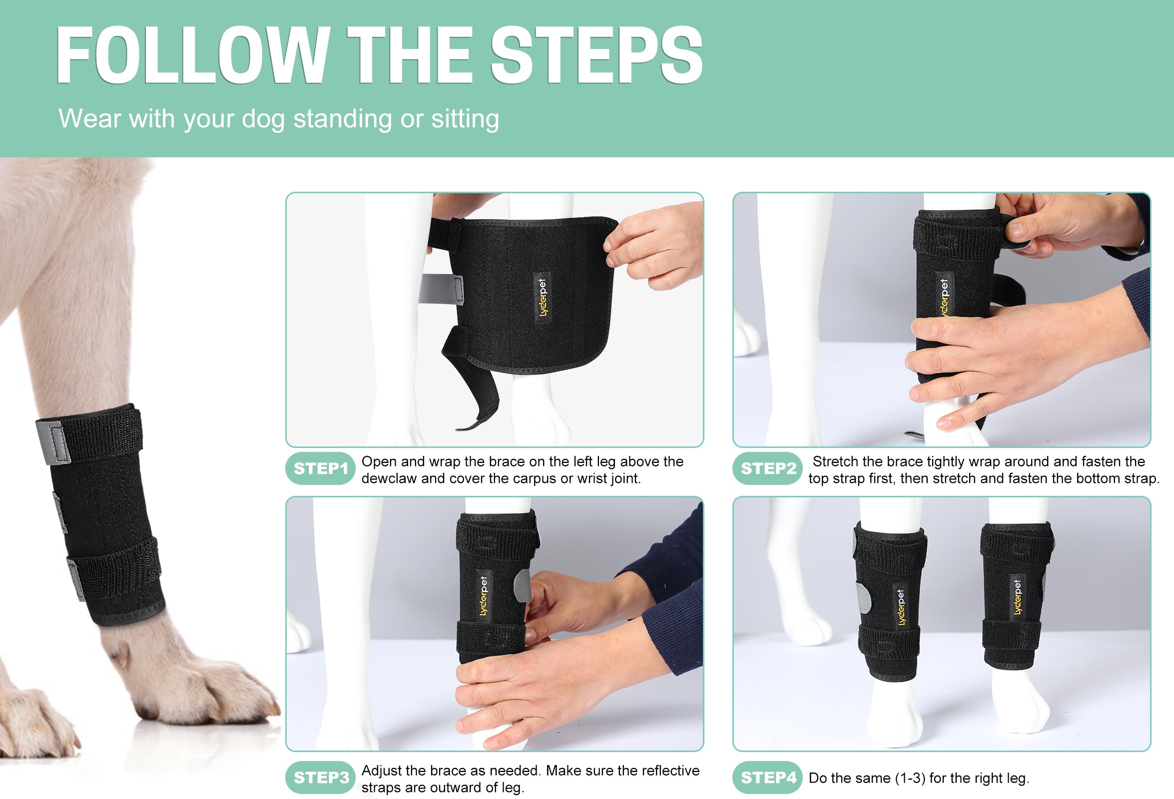 Lyderpet leg brace adjustment straps shown, aiding easy proper sizing and stability.