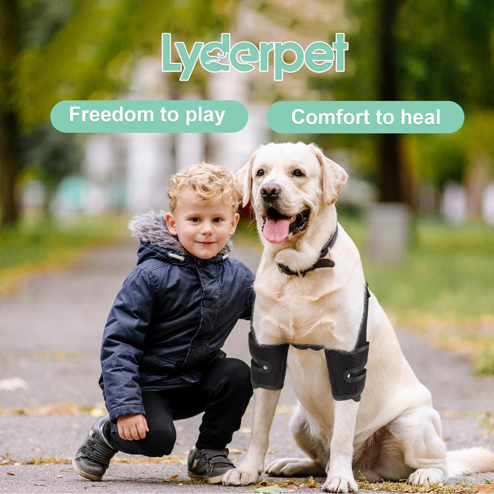Lyderpet pressure-sores-protection aids comfort during rest and activity