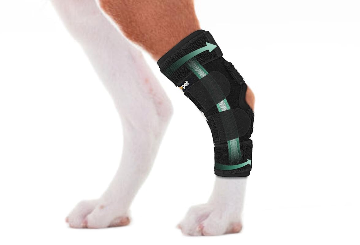 Lyderpet rear leg brace close-up showing snug hock support