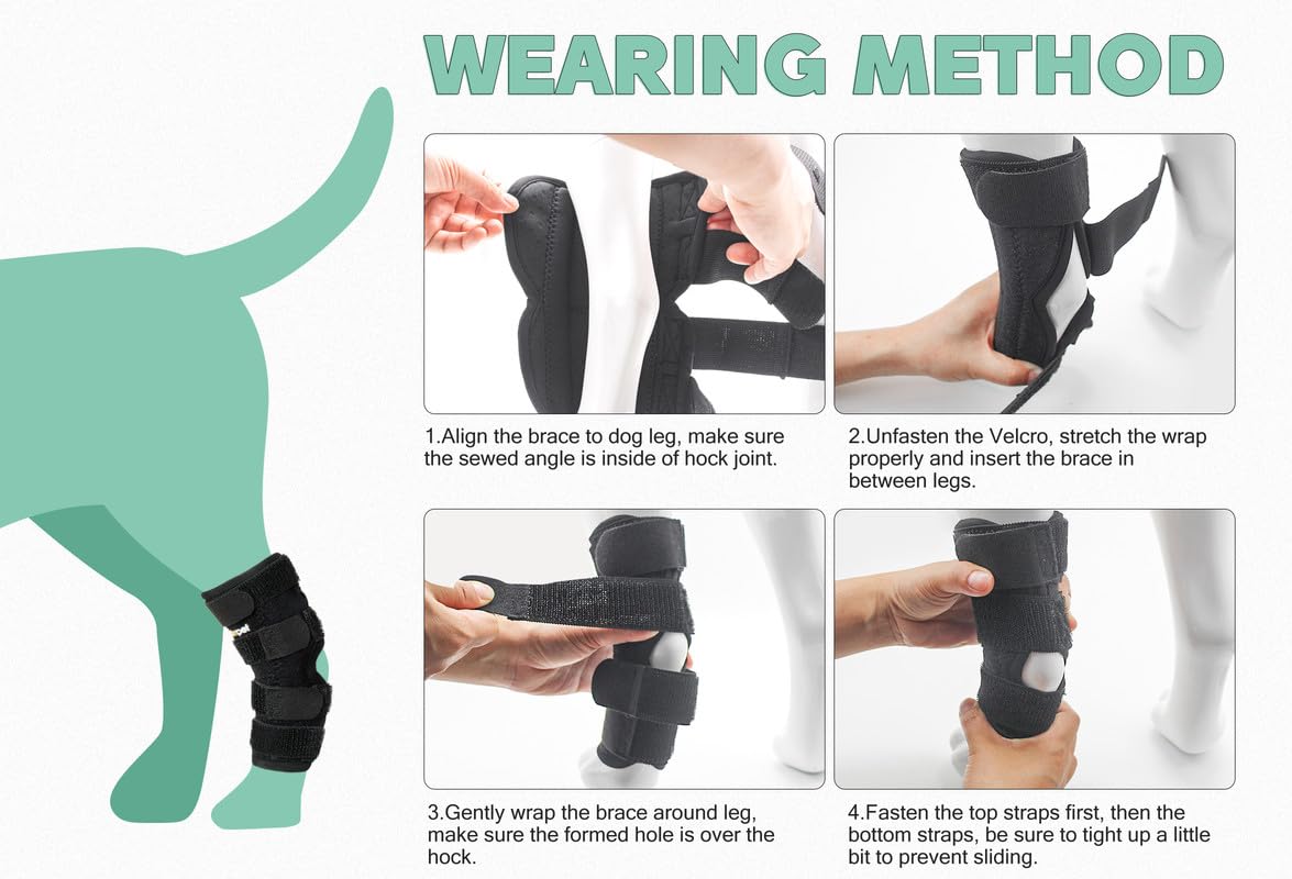 Lyderpet Velcro strips close-up highlighting secure adjustable fit