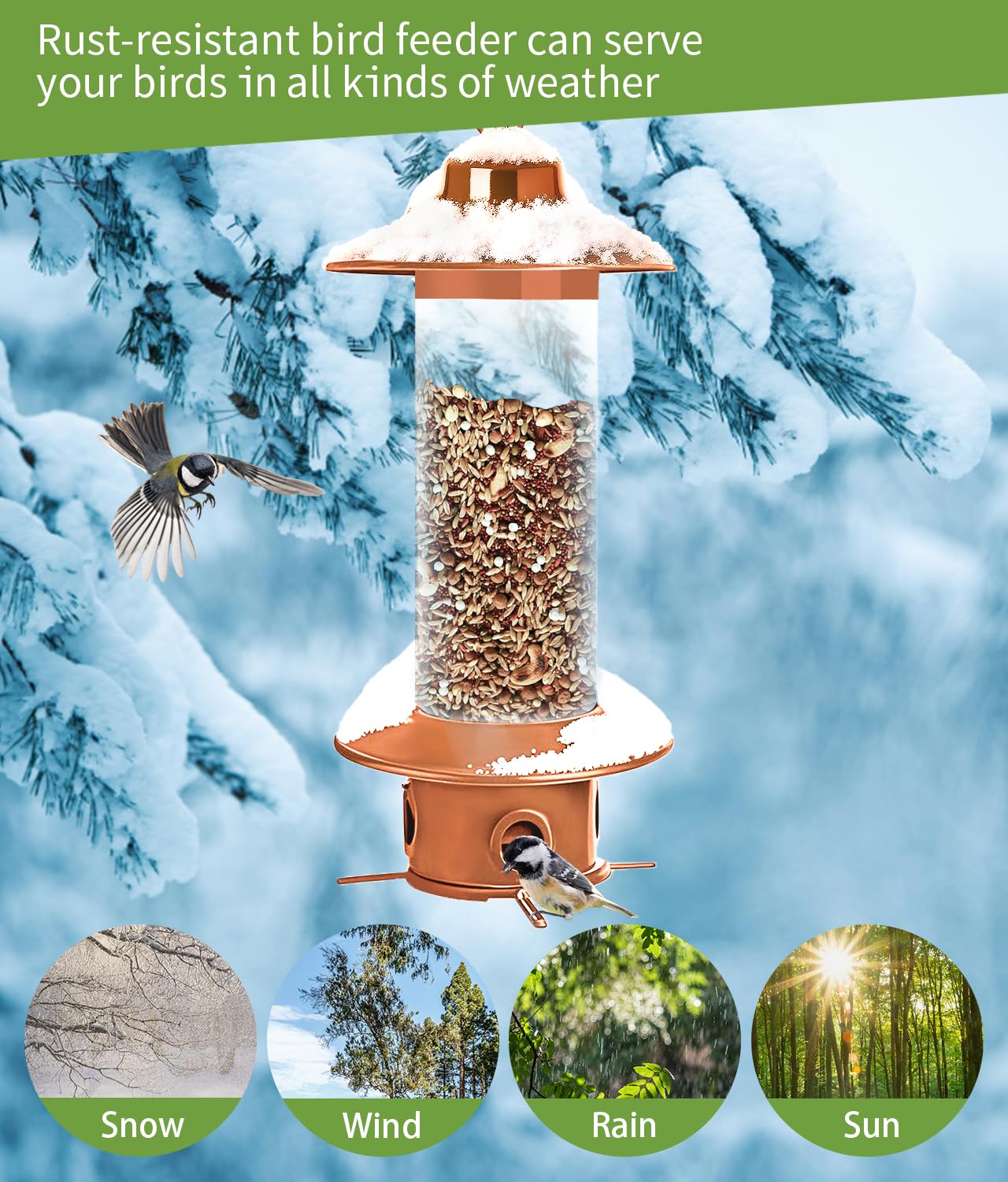 LYKENTOR easy-refill cap image shows quick, spill-free seed replenishment.