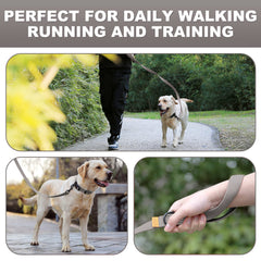 Lynxking 360tangle-free-hook demonstrates smooth swivel for tangle-free walks.