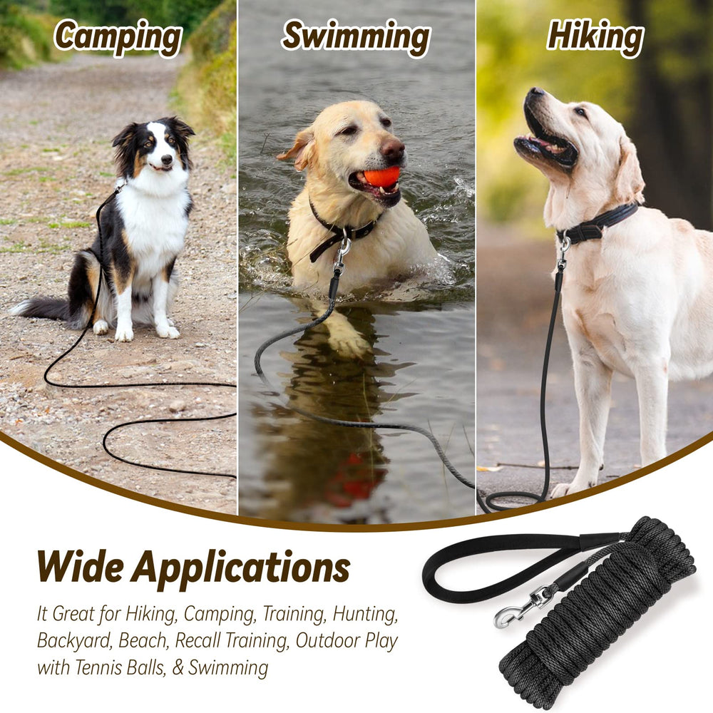 Lynxking Check Cord leash in outdoor setting for recall training and play.