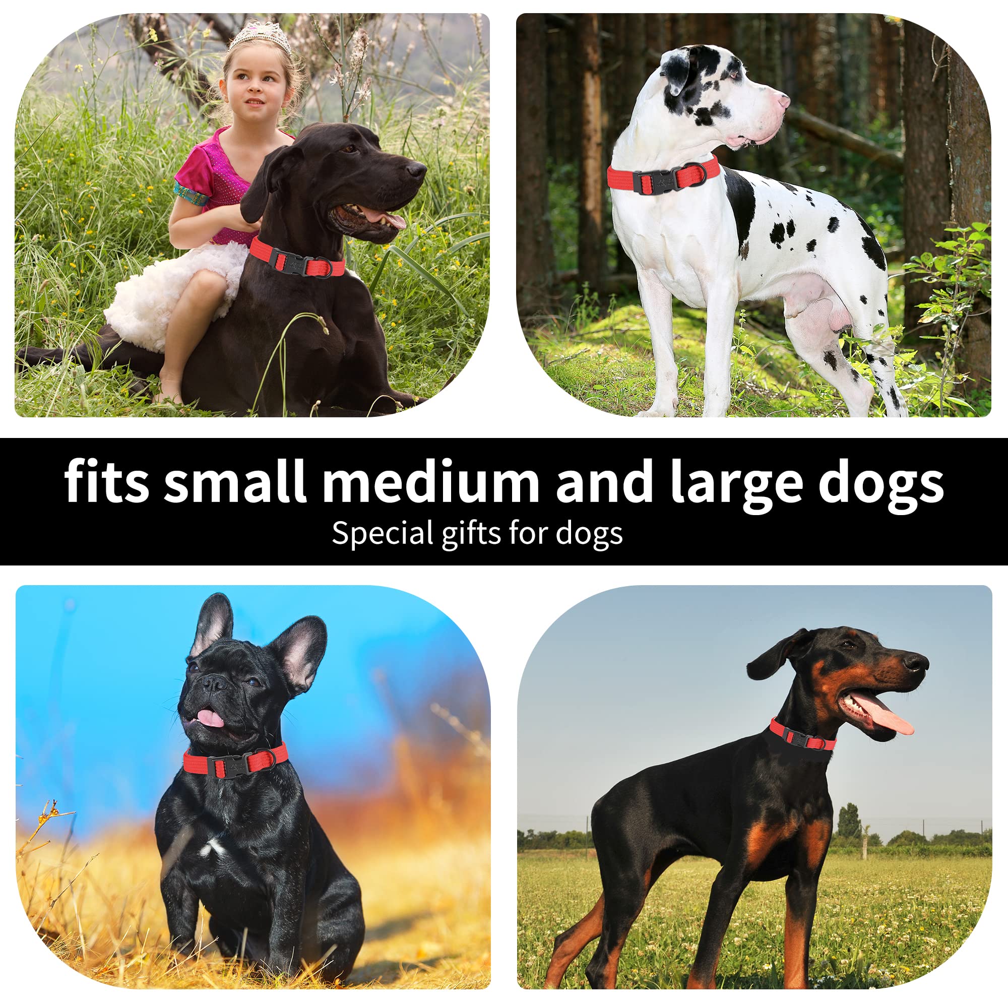 Lynxking dog collar lightweight durable design close-up emphasizes safe control during outings.