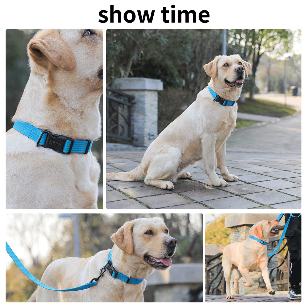 Lynxking dog collar soft-touch material close-up communicates premium daily wear.