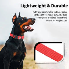 Lynxking dog collar solid color black close-up highlights durable materials for daily wear.