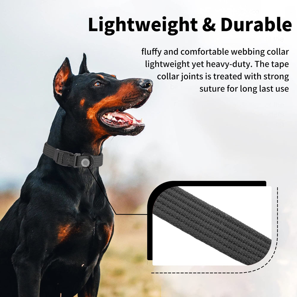 Lynxking dog collar solid color design offers stylish daily wear and easy identification