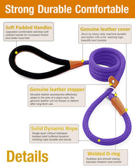 Lynxking dog leash slip lead 6ft during a casual walk