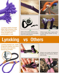 Lynxking dog leash slip lead 8ft extended for hiking and distance control