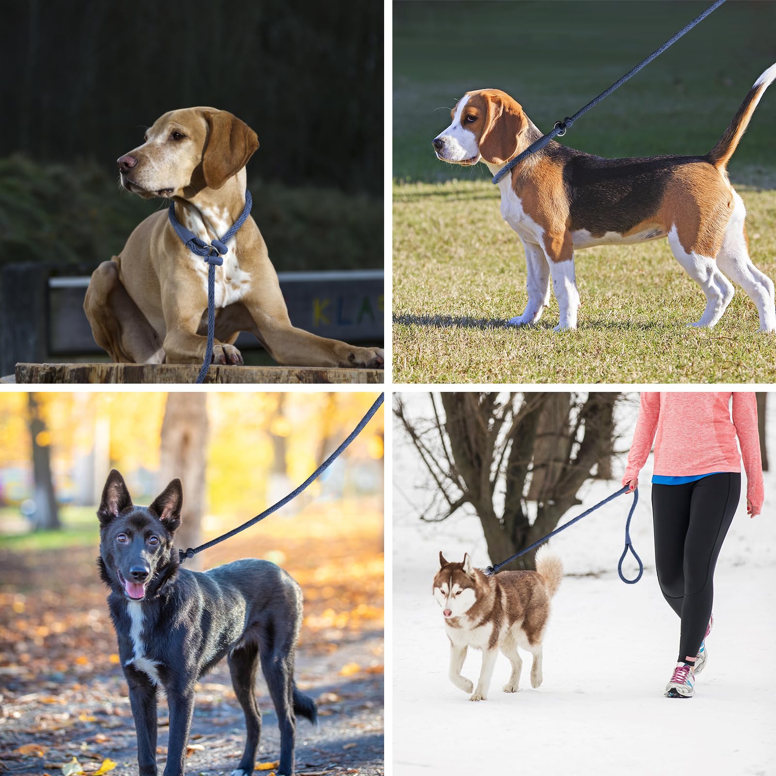 Lynxking slip lead color options image hints at style while staying practical.