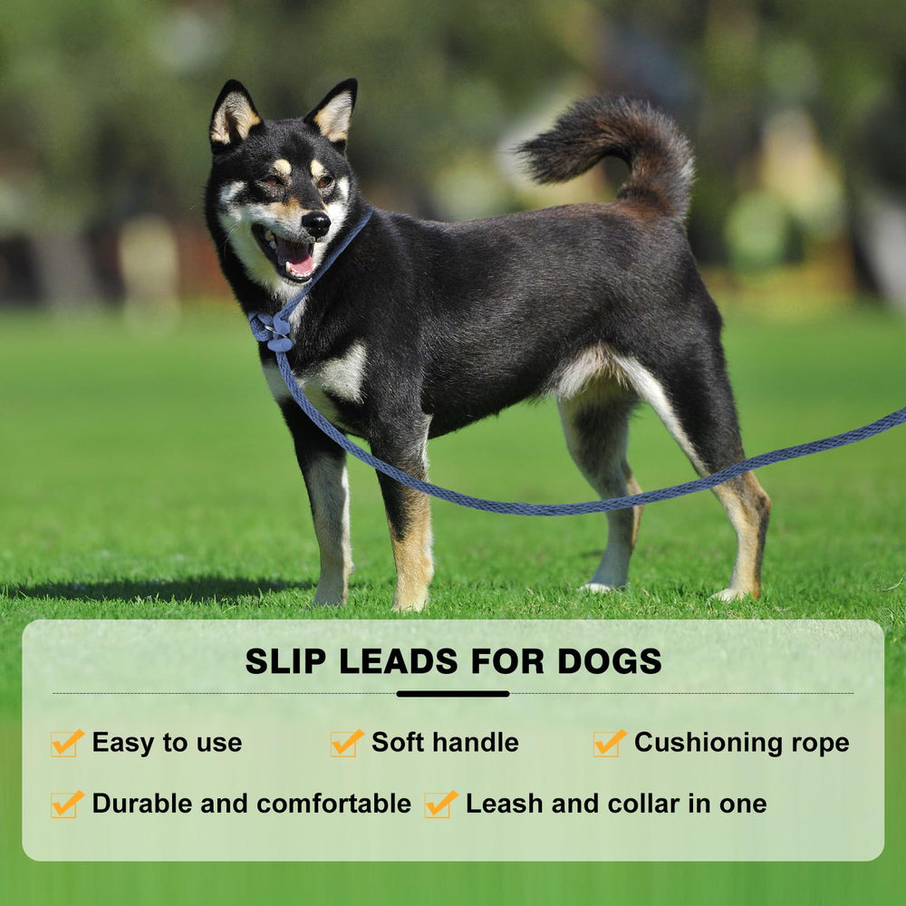 Lynxking slip lead padded-handle image highlights comfortable grip during daily walks.