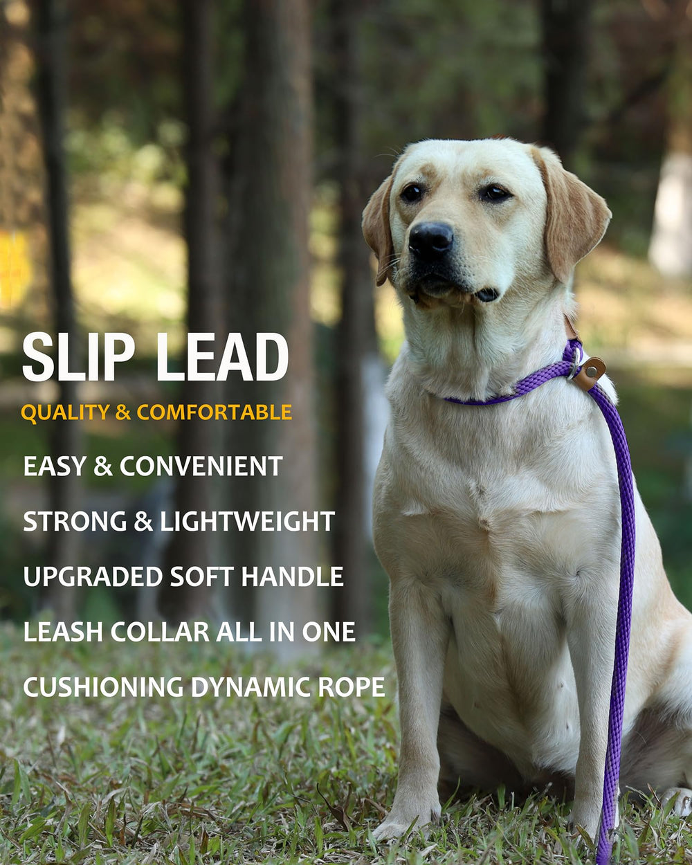 Lynxking two-in-one leash close-up shows adjustable loop and leather stopper
