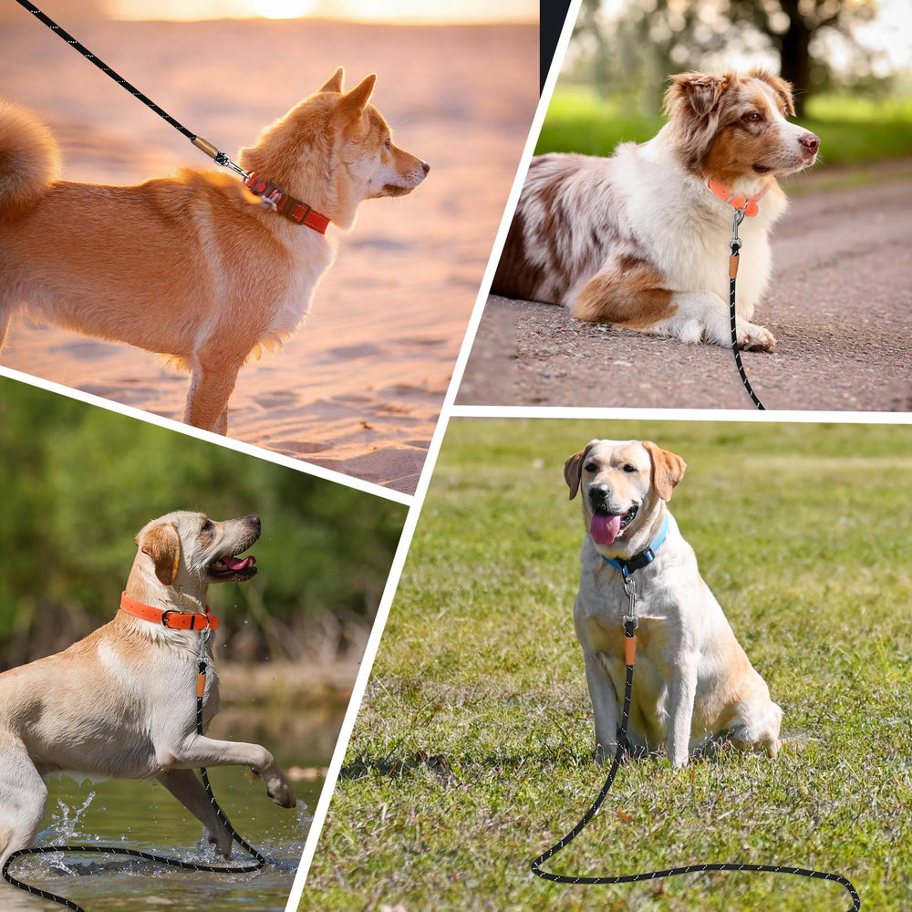 Lynxking long dog leash 50ft option for long-range training adventures.