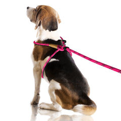 Lynxking No Pull Harness pink front view highlights 3-in-1 design for easy daily walks.