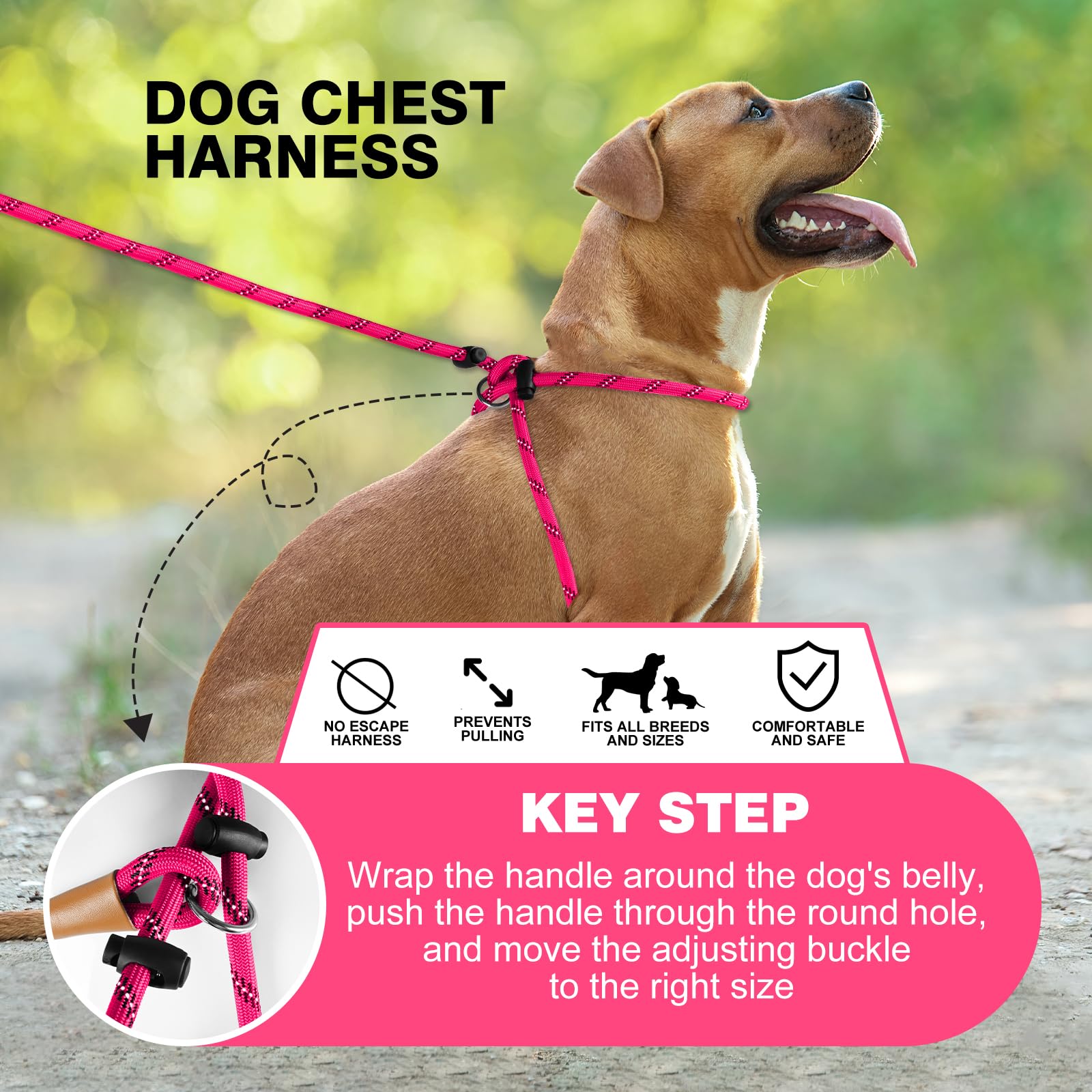 Lynxking No Pull Rope pink quick-snap buckles enable easy on-and-off during busy mornings.