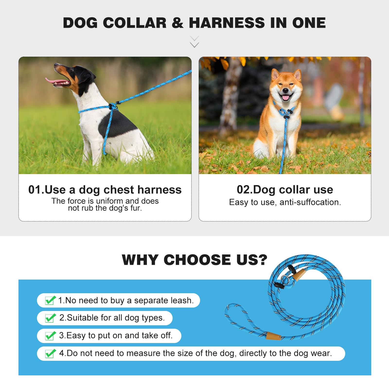 Lynxking reflective blue harness supports safe evening strolls with visibility