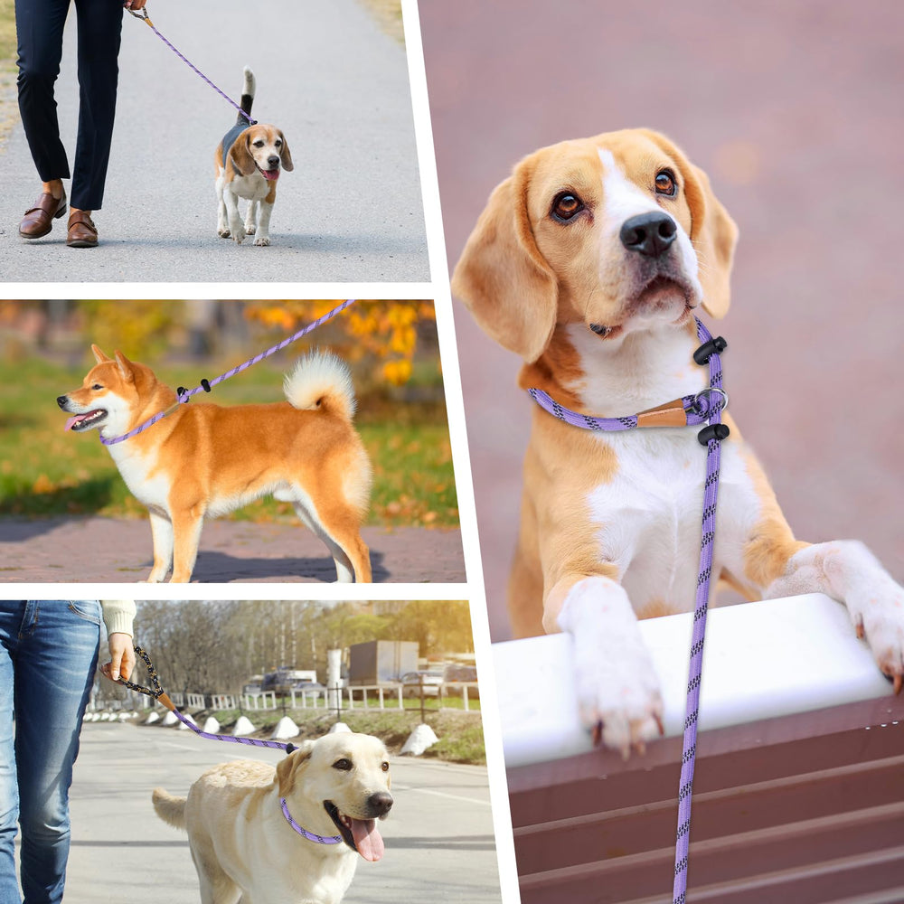 Lynxking slip lead suits all dog sizes