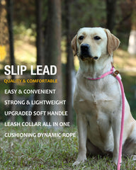 Lynxking slip lead structure showing durable braided nylon rope and leather knots