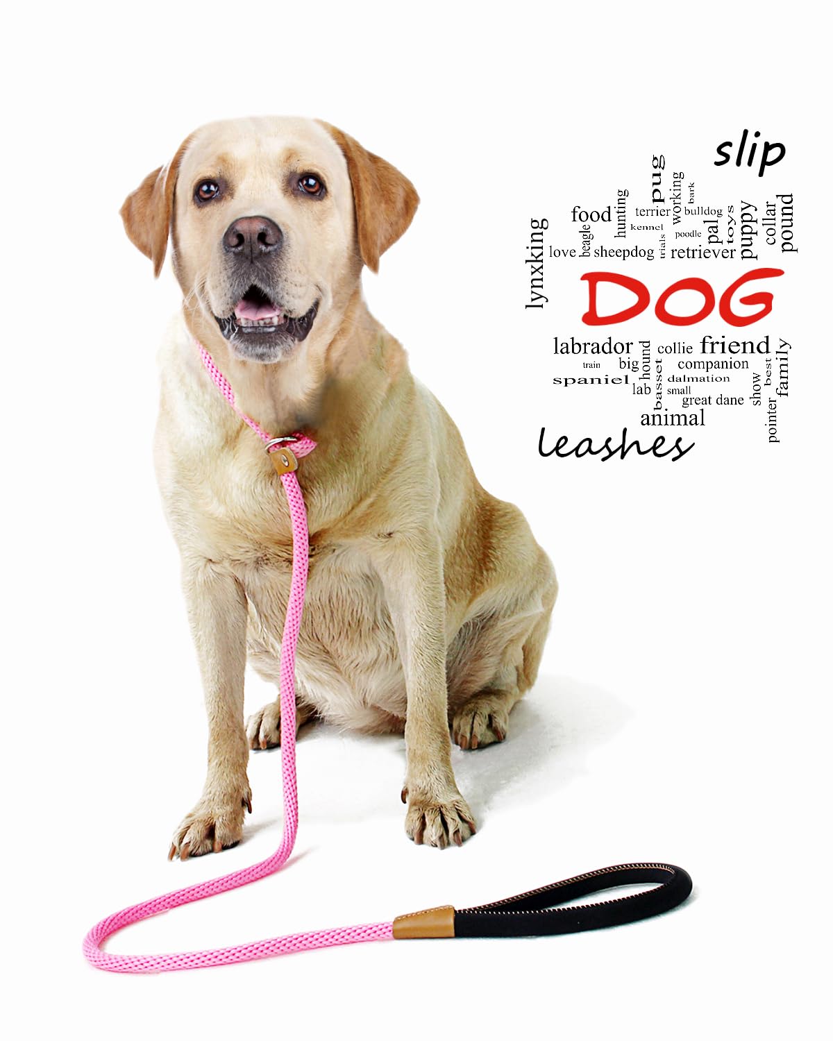 Lynxking slip lead designed for no pull training guidance
