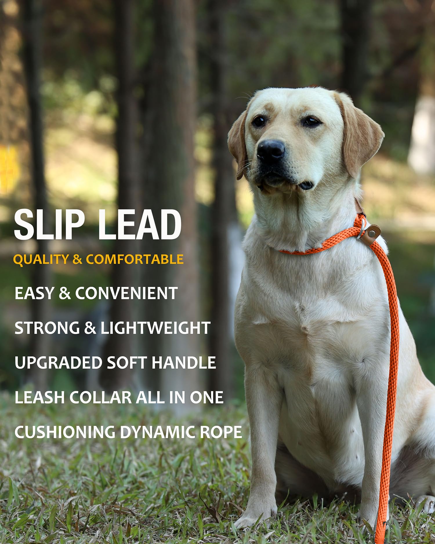 Lynxking slip lead no-pull design supports calm training sessions