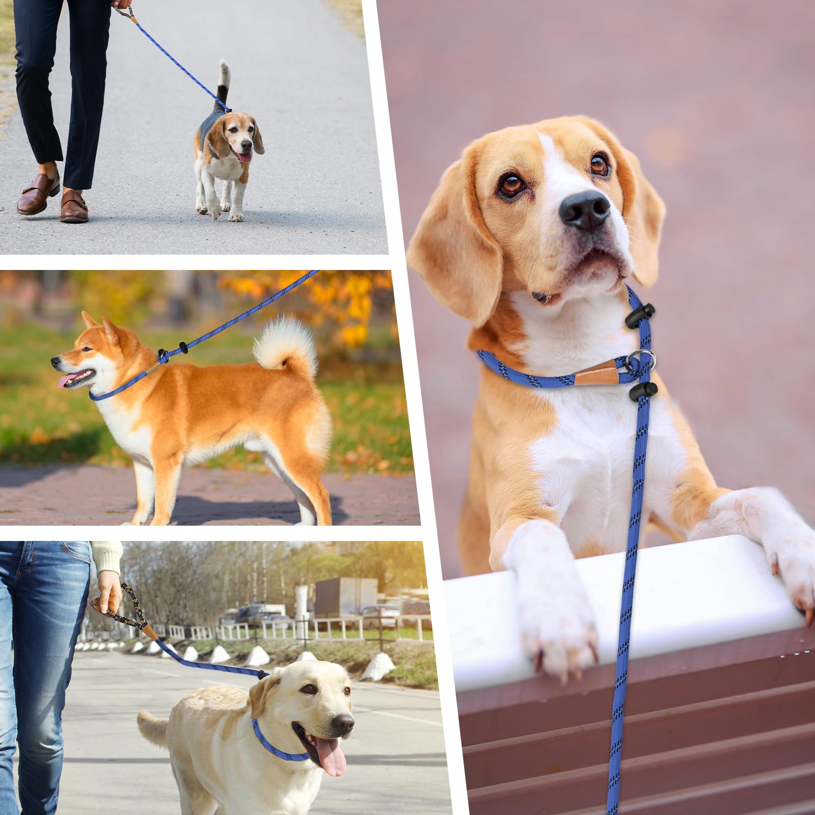 Lynxking Slip Lead size range for small to large dogs outdoors