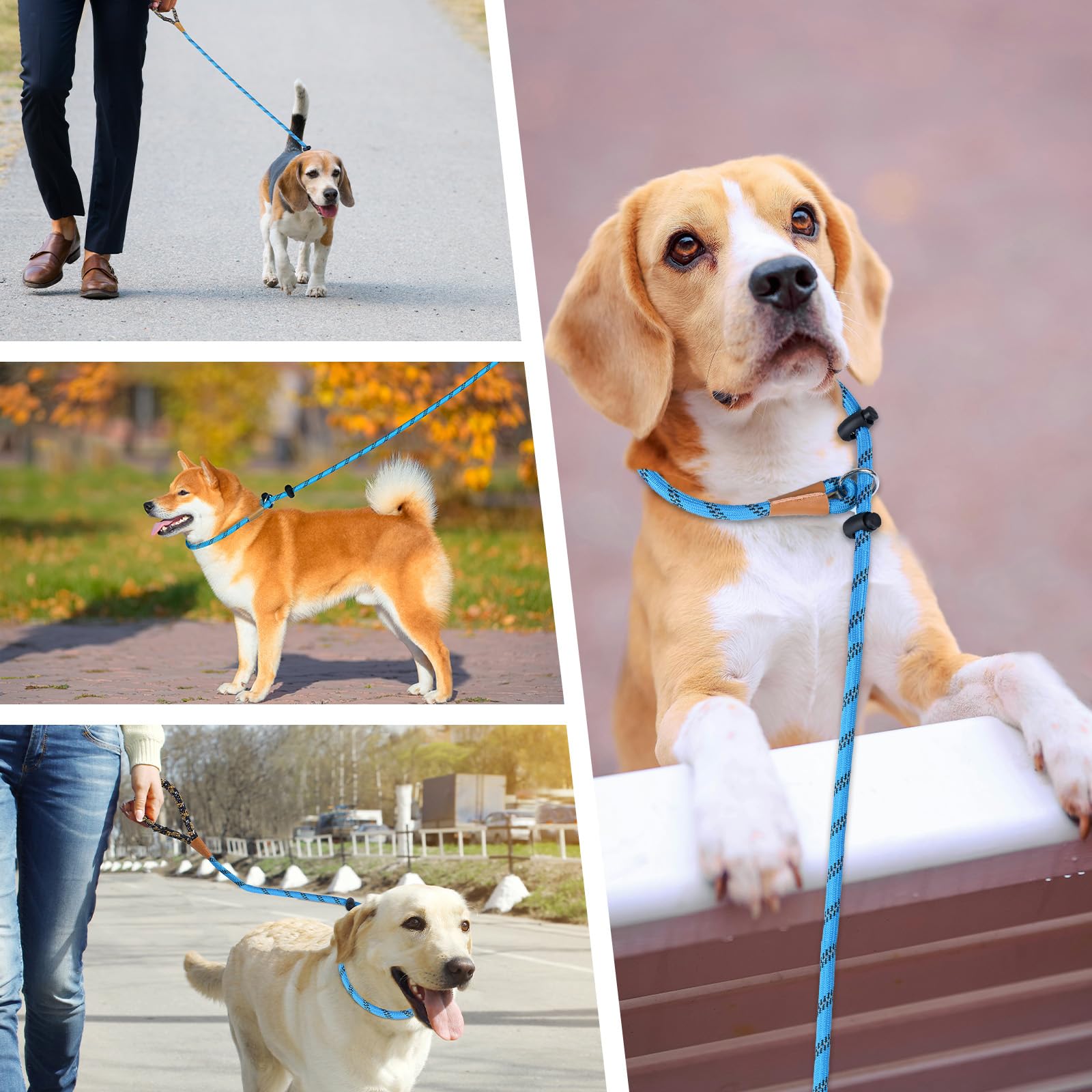 Lynxking Slip Lead for small dogs demonstrates gentle control and safety.