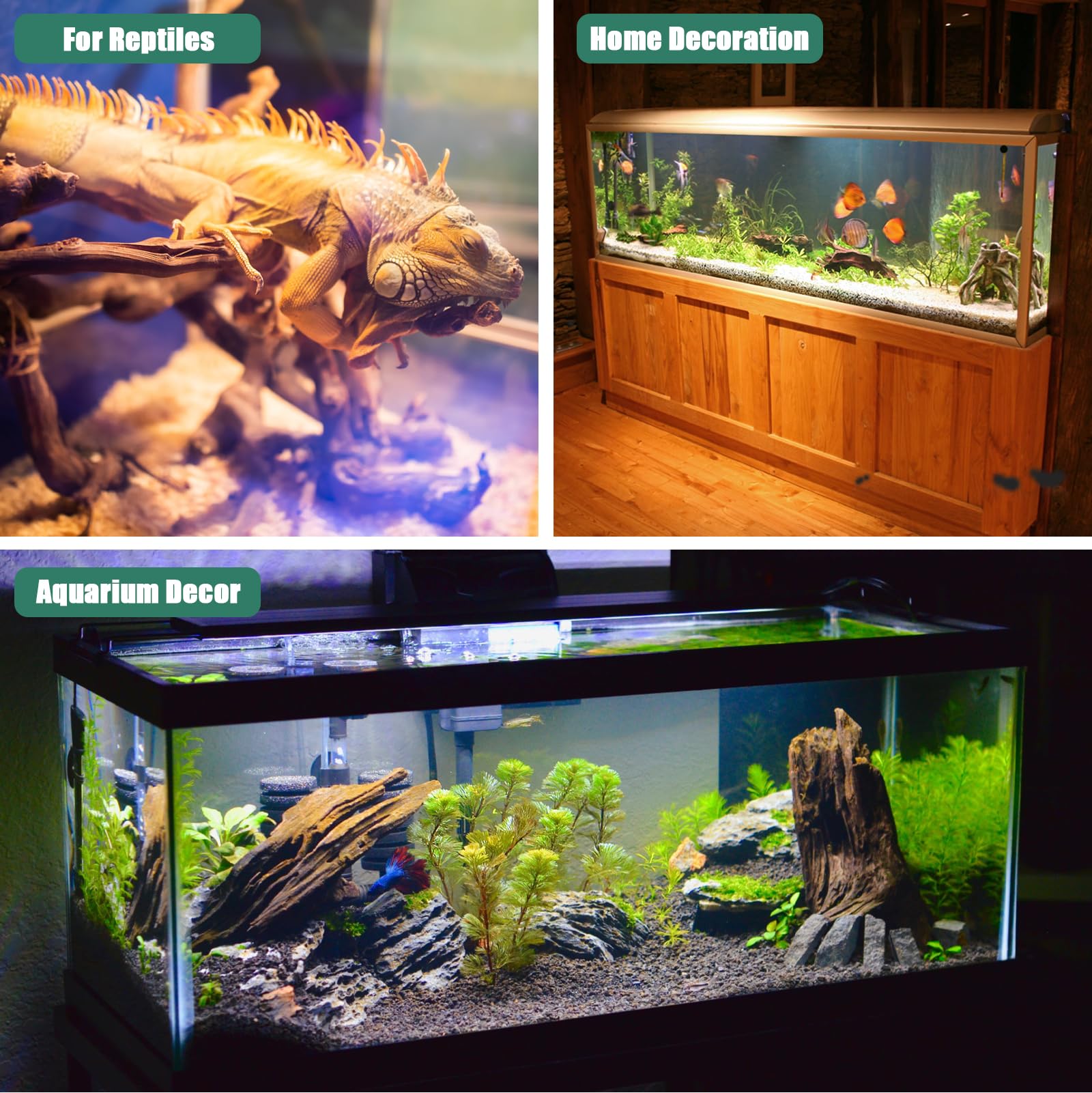LYPHARD AQUARIUMS driftwood supports reptile hide and safe habitat