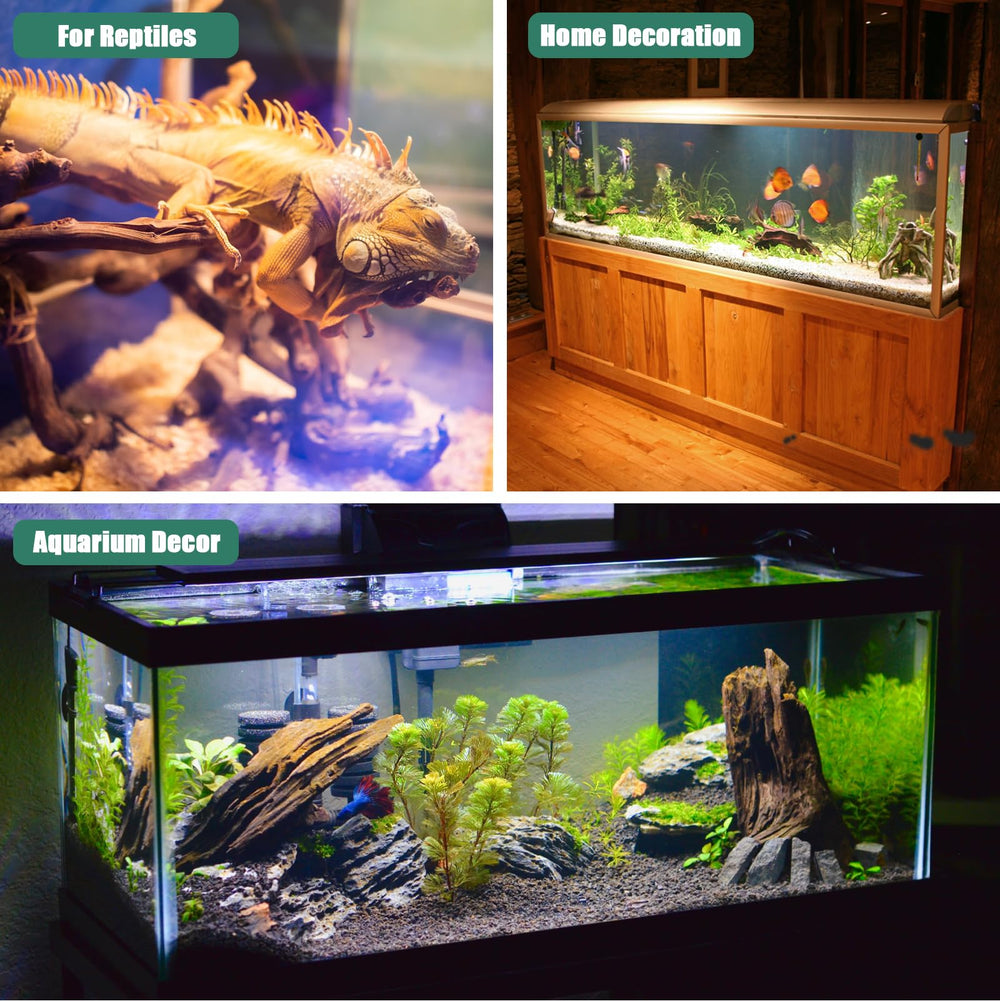 LYPHARD AQUARIUMS driftwood supports reptile hide and safe habitat