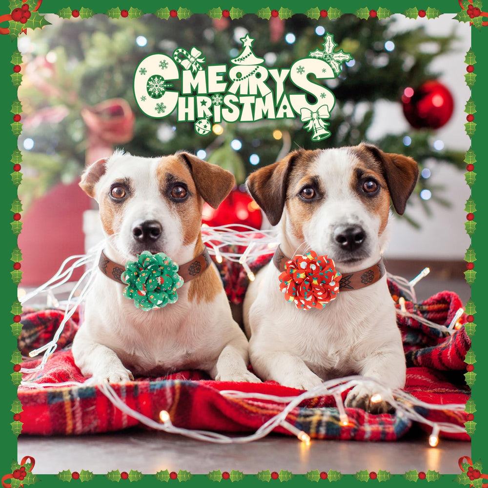Lyrow Christmas dog collar flowers snowflake pattern adds festive flair for photos.