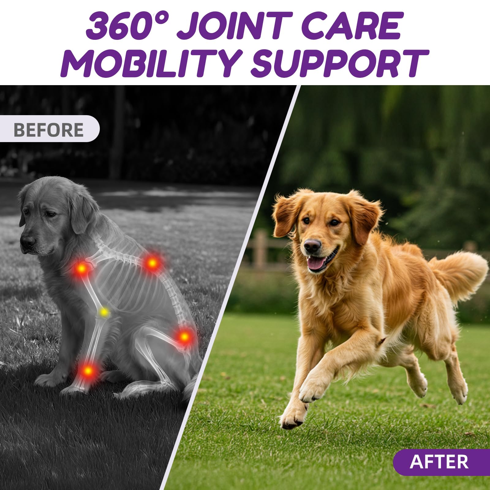 Lysimi all-breeds hip joint chews bottle showing versatile use.