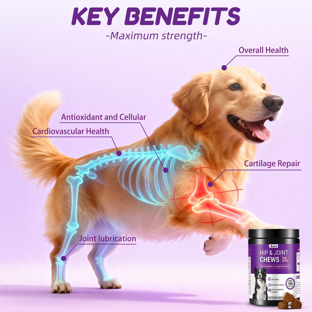 Lysimi hip and joint supplement bottle label highlights veterinarian-tested formula.