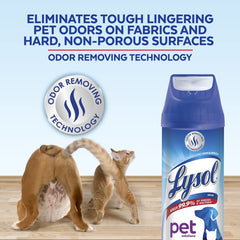 Lysol Pet Odor Eliminator on car interior surfaces for odor control after pet rides.