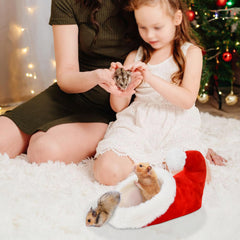 LyssKMK Santa Shoe Hamster Bed side view highlights compact hideout.